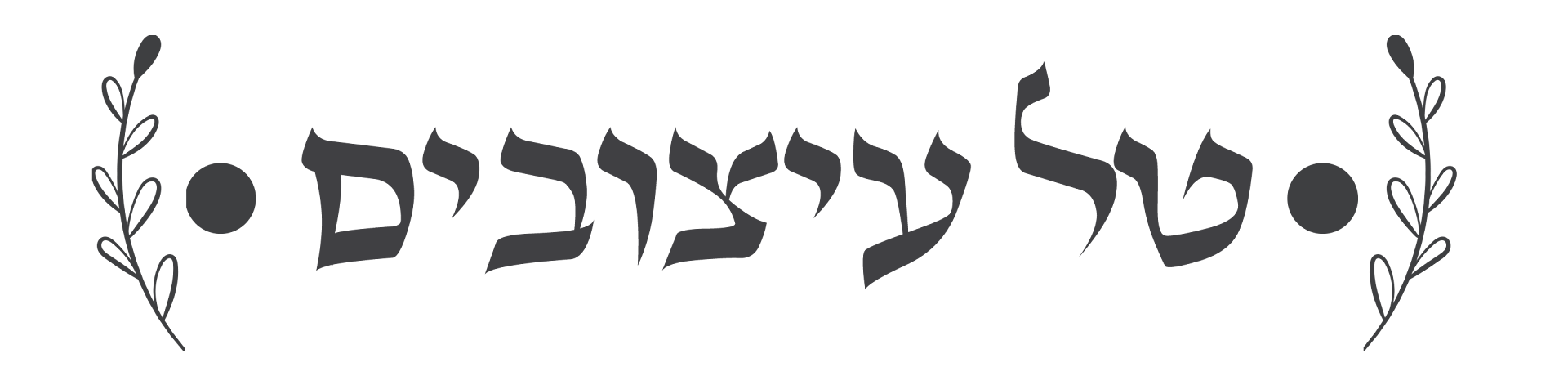 imgi_1_media_04032025125536